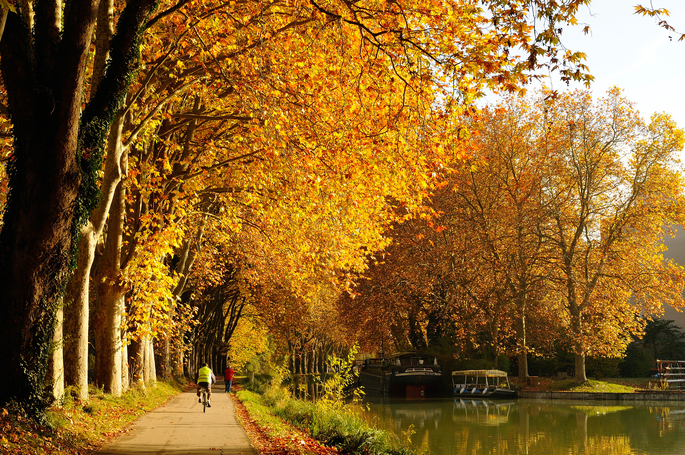 Cycliste sur le canal du Midi