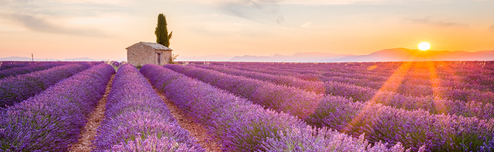 Provence